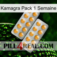 Kamagra 1 Week Pack levitra2